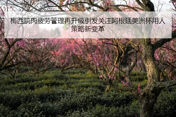 梅西肌肉疲劳管理再升级引发关注阿根廷美洲杯用人策略新变革