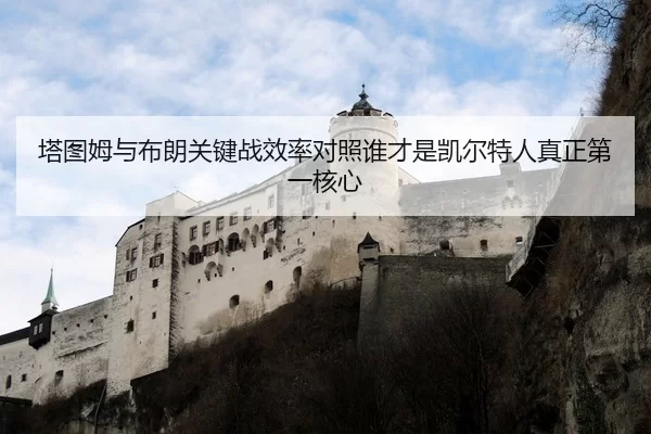 塔图姆与布朗关键战效率对照谁才是凯尔特人真正第一核心