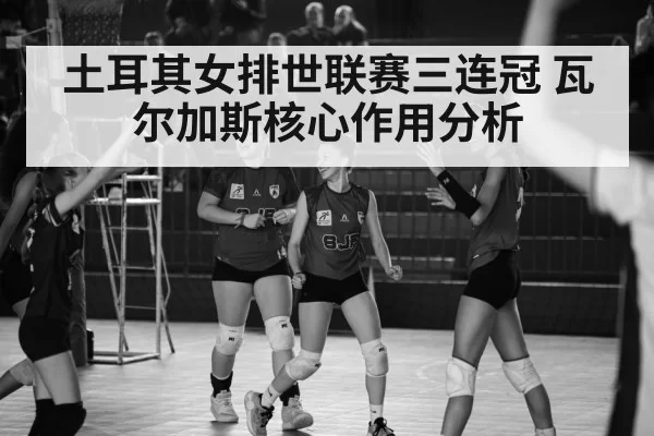 土耳其女排世联赛三连冠 瓦尔加斯核心作用分析