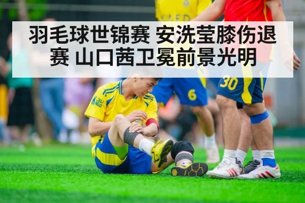 羽毛球世锦赛 安洗莹膝伤退赛 山口茜卫冕前景光明